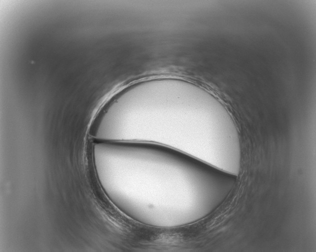 X0000058800248200510071709