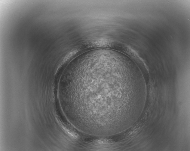 X0000058800250200510071709