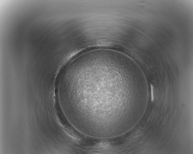 X0000058800252200510071709