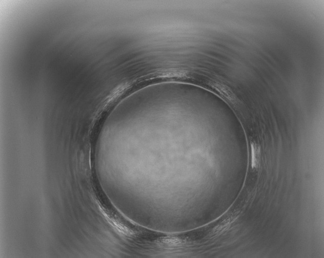 X0000058800253200510071709