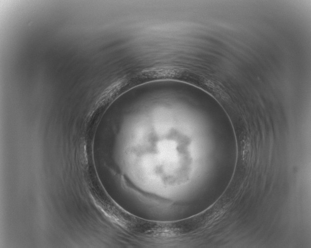 X0000058800254200510071709