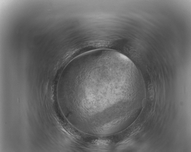 X0000058800255200510071709