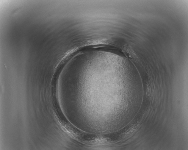 X0000058800256200510071709