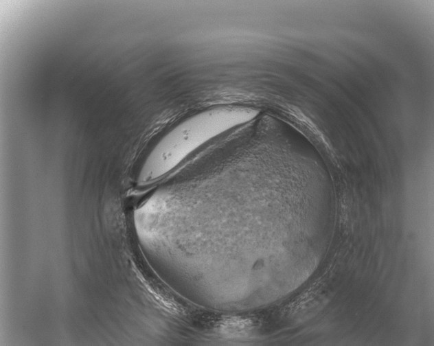 X0000058800257200510071709