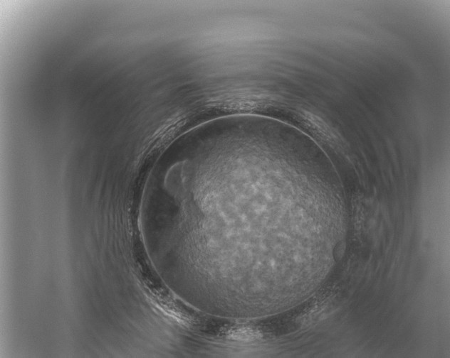 X0000058800258200510071709