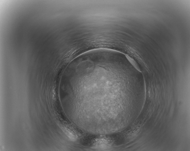 X0000058800259200510071709