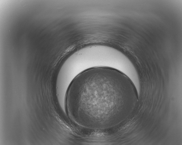 X0000058800260200510071709