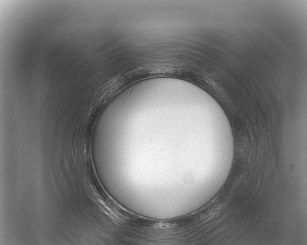 X0000058800261200510071709