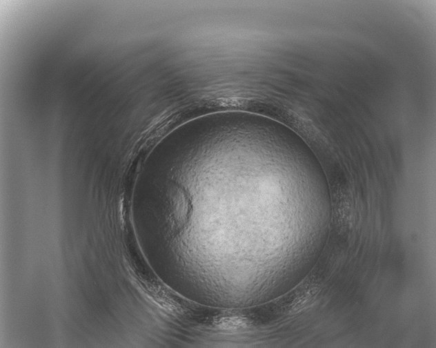 X0000058800262200510071709