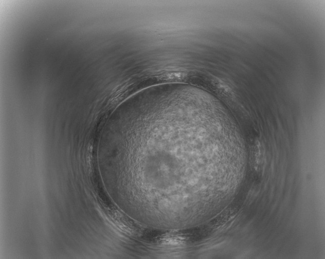 X0000058800263200510071709