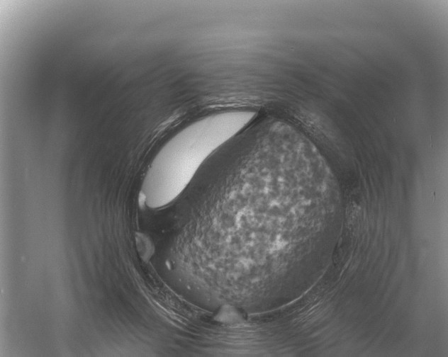 X0000058800264200510071709