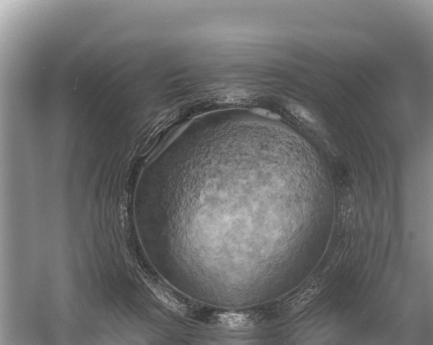 X0000058800265200510071709