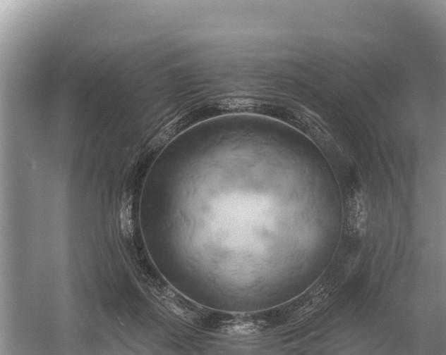 X0000058800267200510071709