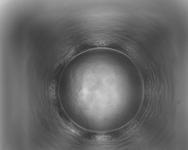 X0000058800268200510071709