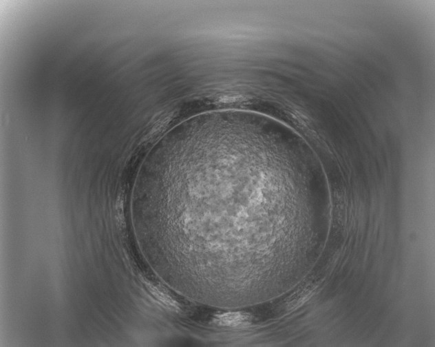 X0000058800269200510071710