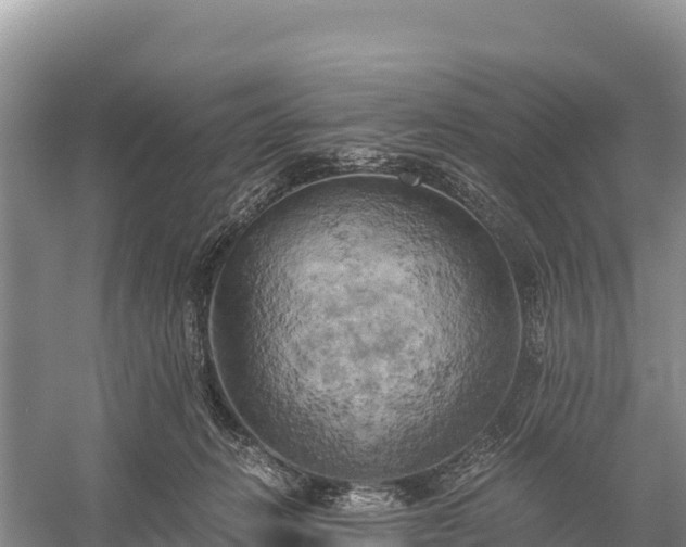 X0000058800270200510071710