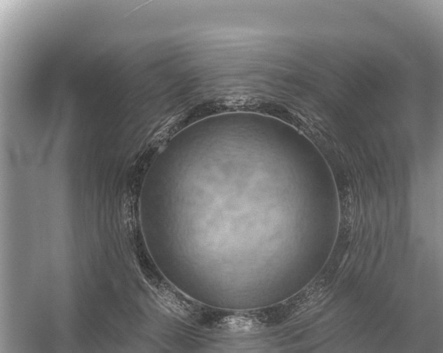 X0000058800272200510071710