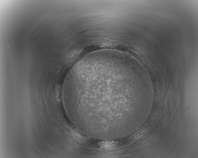 X0000058800273200510071710