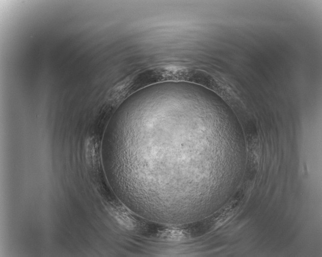 X0000058800276200510071710