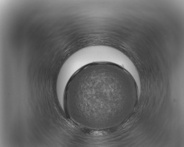 X0000058800277200510071710