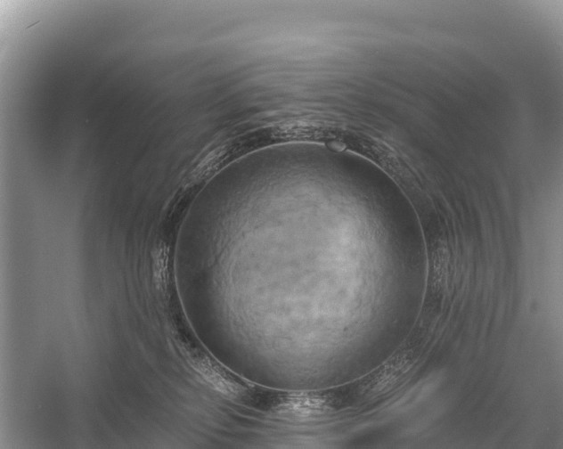 X0000058800278200510071710