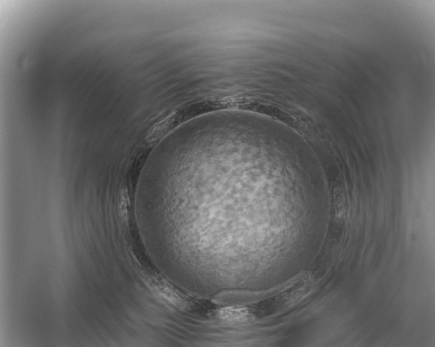 X0000058800279200510071710