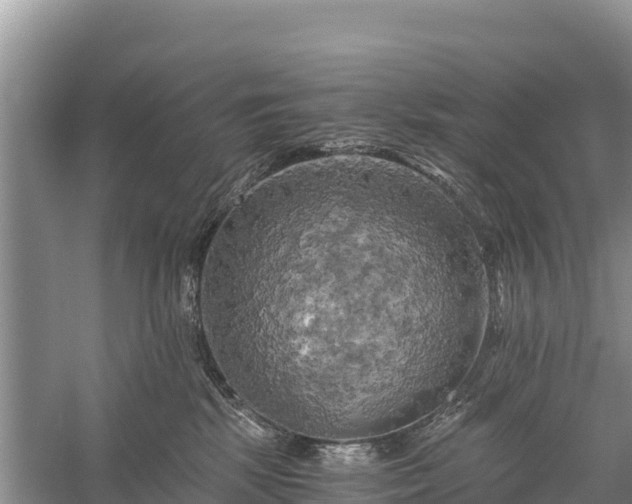 X0000058800281200510071710