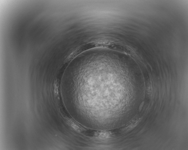 X0000058800282200510071710