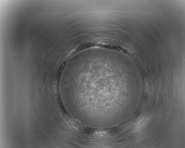 X0000058800283200510071710