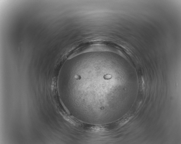 X0000058800284200510071710