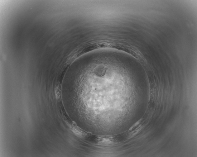 X0000058800285200510071710