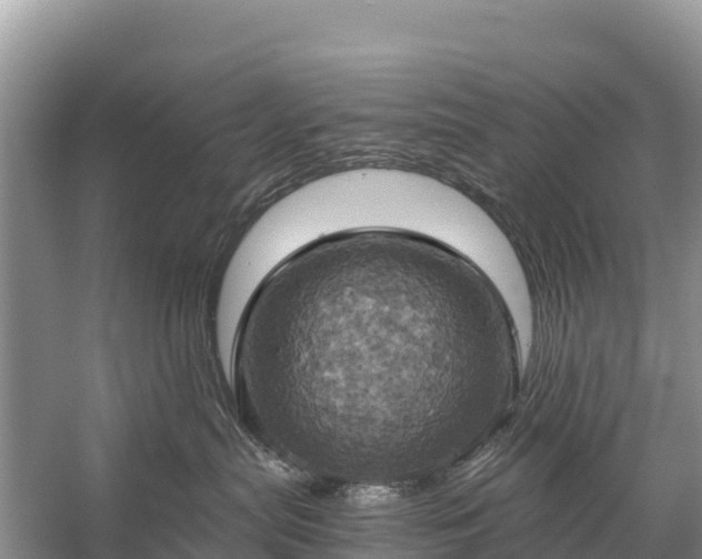 X0000058800287200510071710