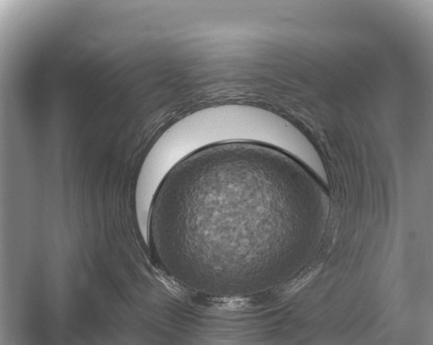 X0000058800288200510071710