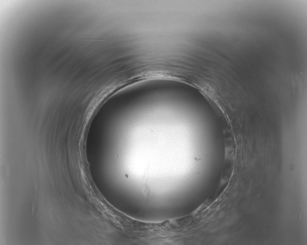 X0000058800289200510071709