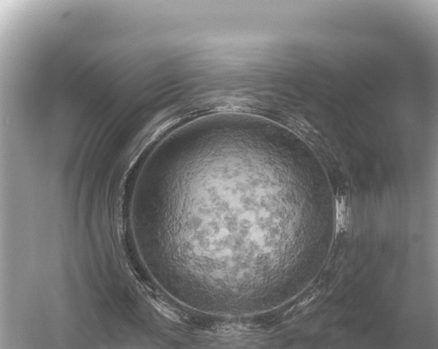 X0000058800291200510071709