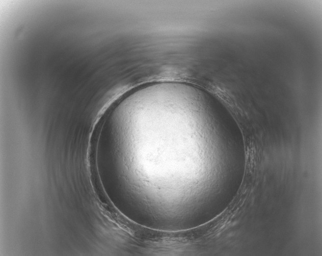 X0000058800292200510071709