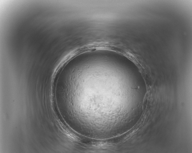 X0000058800293200510071709