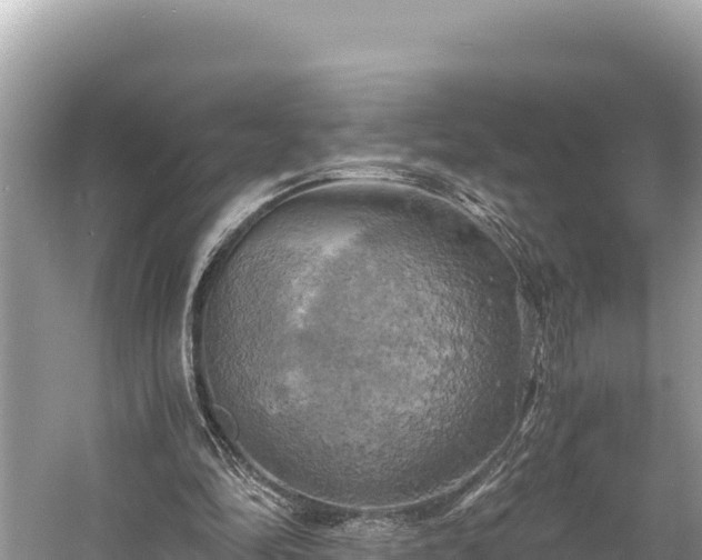 X0000058800294200510071709