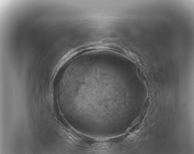 X0000058800295200510071709