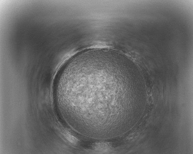 X0000058800296200510071709