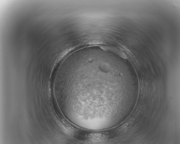 X0000058800298200510071709