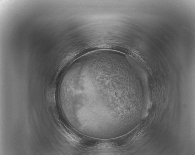 X0000058800299200510071709