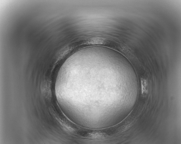 X0000058800300200510071709