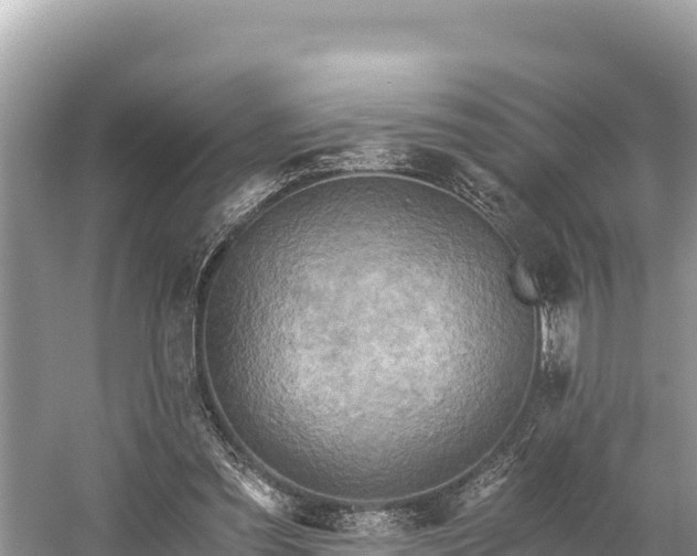 X0000058800301200510071709