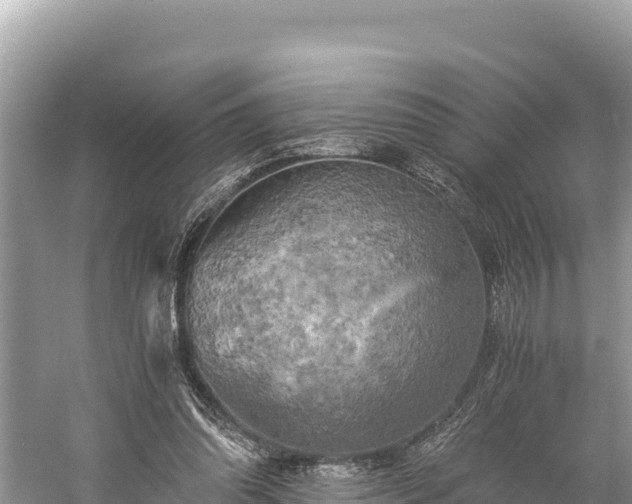 X0000058800302200510071709