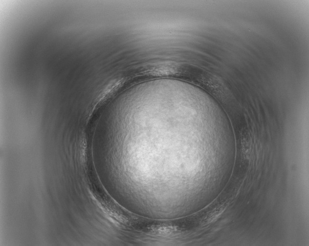 X0000058800304200510071709