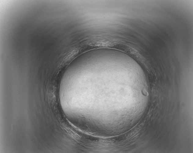 X0000058800305200510071709