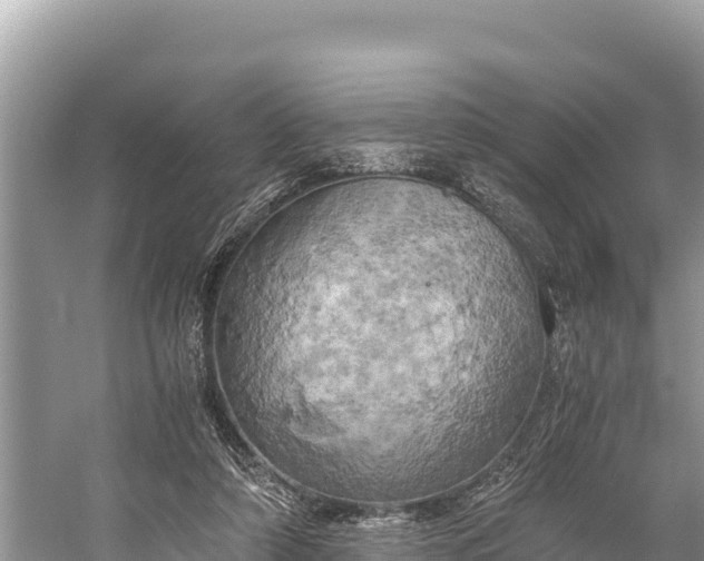 X0000058800306200510071709