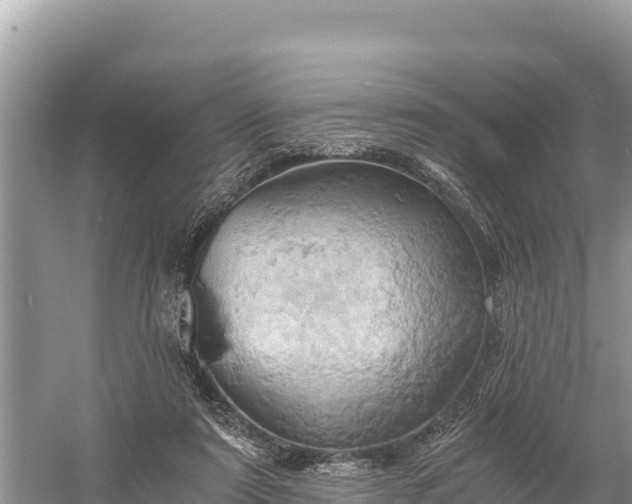 X0000058800307200510071709