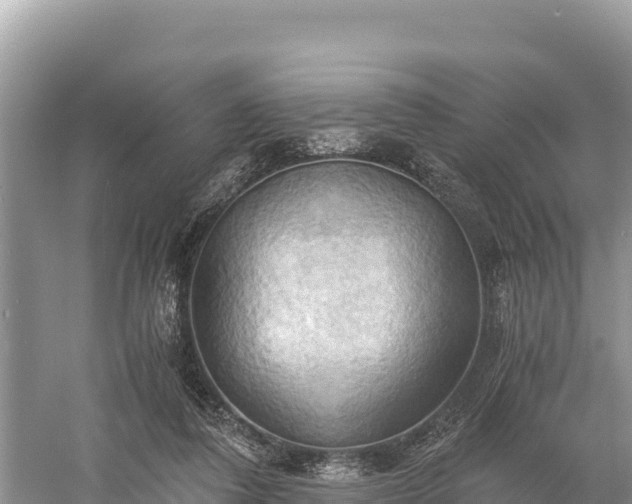 X0000058800308200510071709